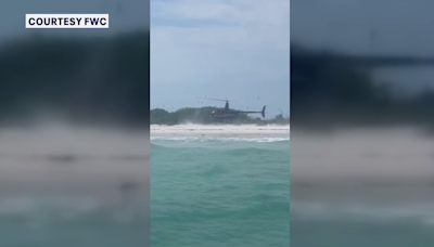 Helicopter pilot charged after landing on top of protected birds on Egmont Key: FWC