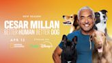 Dog Whisperer Plays ‘Matchmaker’ in New Season of ‘Better Human Better Dog’