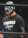 Bushi (wrestler)