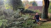 Couple ‘fear for their lives’ after being blocked from felling limb-shedding tree