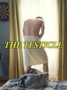 The Testicle