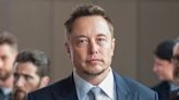 Elon Musk Once Slammed 'Fauci Fan Club,' Now Bird Flu In Cats, Cows And Humans Puts Pandemic Research Under...