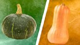 Butternut Vs Buttercup Squash: What's The Difference