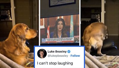 My Body Is Physically Sore From Laughing So Hard At These 33 Political Tweets From May