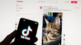 TikTok's Irish data center up and running as European privacy project gets under way