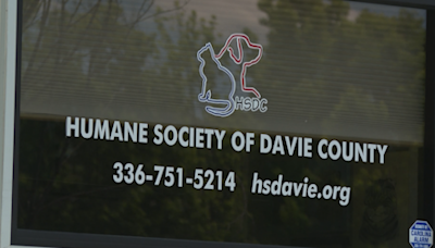 Humane Society of Davie County in need of donations to avoid closure