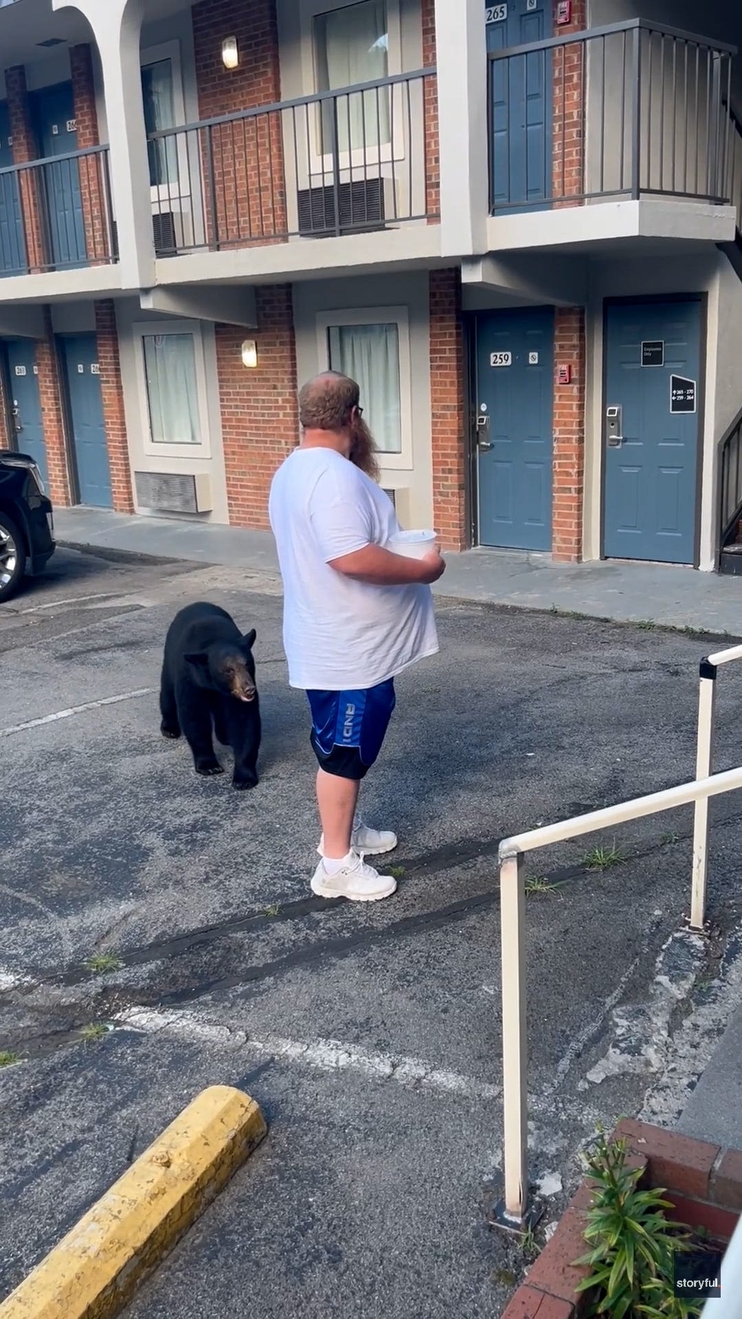 Watch: Gatlinburg video shows bear approaching man in hotel parking lot. 'You better move'