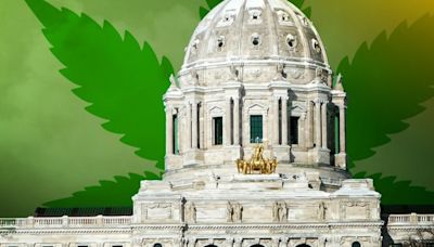 Minnesota Cannabis Users Not Allowed Gun Ownership Federally