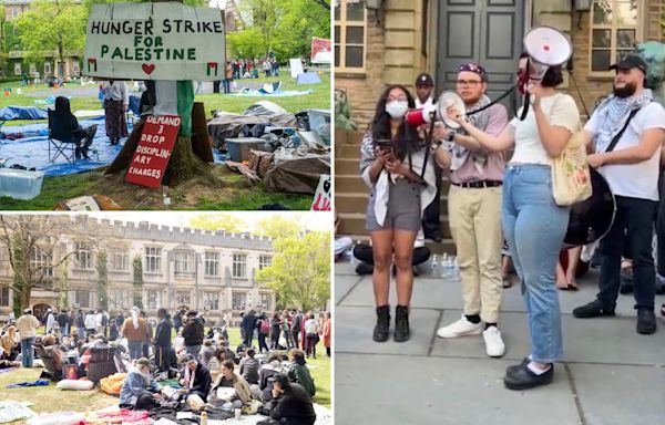 ‘Princeton Princess’ whines that she’s ‘starving,’ blames university after choosing to go on anti-Israel hunger strike