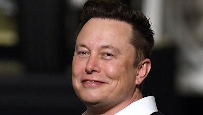 Elon Musk will Taylor Swift ein Kind schenken