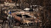 Devastating wildfires caught Hawaii underprepared for ‘preventable disaster’