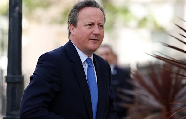 David Cameron urges the West to "toughen up" after Ukraine invasion