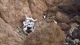 Unlikely survival of family that plunged off 250-foot California cliff credited to luck, Tesla's design