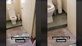 Toilet snakes on the rise across Australia as relentless rains wreak havoc