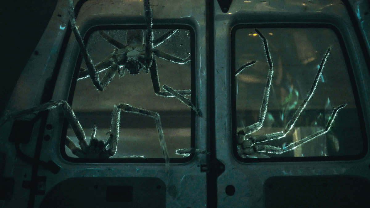 The Horror Movie That Used 200 Real Spiders to Scare You