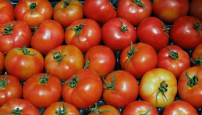 El valor de la Canasta Básica de Alimentos vuelve a superar los $ 68 mil de la mano del tomate | Diario Financiero