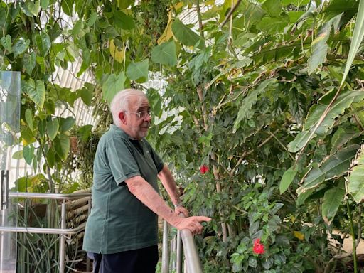 La València Olvidada: El jardín botánico (Por Paco Pérez Puche)