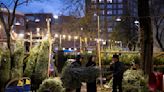 For tree vendors of New York City, Christmas is serious business. Do not crash their turf