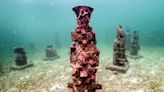 Colombian underwater 'art gallery' serves as coral home