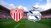 Liga MX: Necaxa vs Puebla - ¡EN VIVO! - Jornada 2 del Apertura 2024