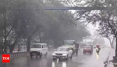 Delhi Weather: Humid Day with Missed Rainfall | Delhi News - Times of India