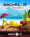 Bachelor in Paradise (American TV series) season 9