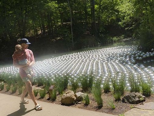 Crystal Bridges Museum of American Art in Bentonville scores accreditation for arboretum | Northwest Arkansas Democrat-Gazette