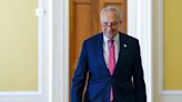 Senate approves debt ceiling suspension, averting default