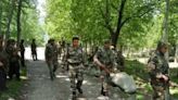 Joint search operations launched following suspicious movements in Poonch, Reasi after J&K witnesses string of terror incidents | Business Insider India