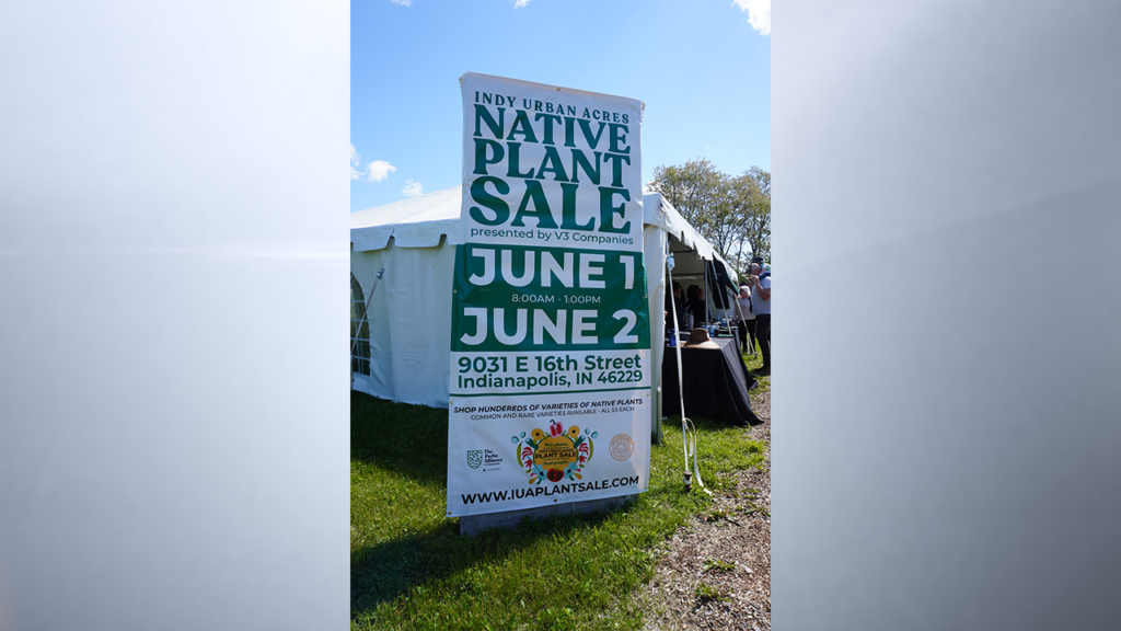 Native plant sale will raise money for Indy Urban Acres