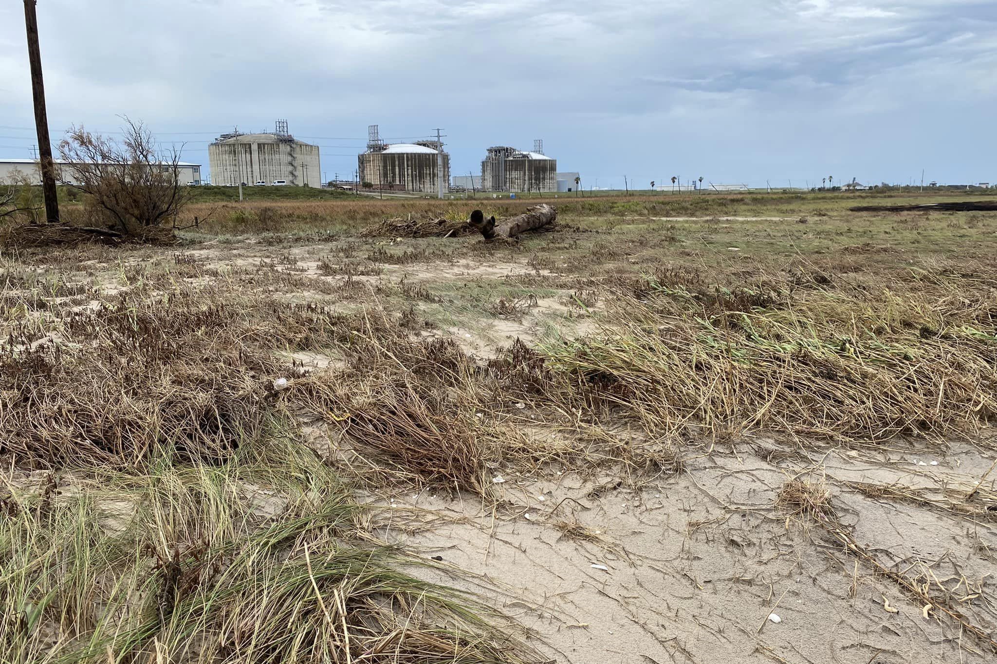 Hurricane Beryl left Texas dunes flattened. What now?