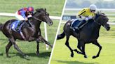 Confirmed runners and riders for the Irish Derby at the Curragh on Sunday