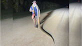 Burmese python hunter gets upper hand on 14-foot snake by sitting on it