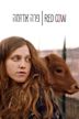 Red Cow (film)