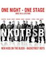 NKOTBSB Tour