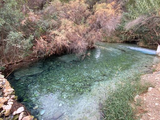 La asociación Lorca por su Patrimonio pide que los Ojos del Río Luchena sean declarado BIC
