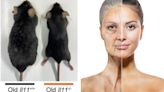 Scientists reveal if anti-ageing elixir could REALLY slow human ageing