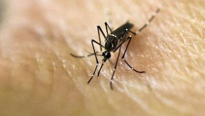 Douglas County gets IL’s first bird with West Nile virus in 2024