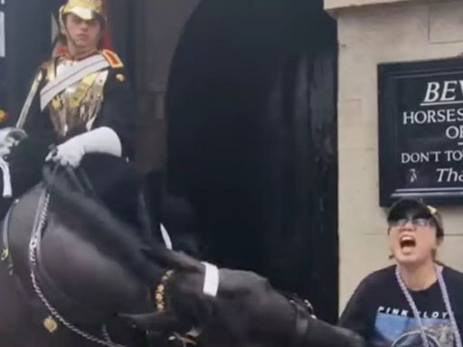 Tourist Screams in Pain, Faints After King's Guard Horse Bites Her | Video