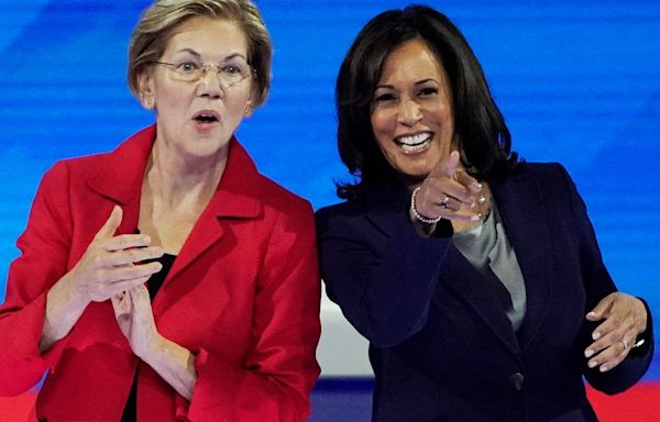 Elizabeth Warren Has 1 Question For Kamala Harris Skeptics