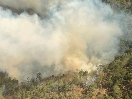 Combaten nuevo incendio forestal en SLP, ahora en Santa María del Río