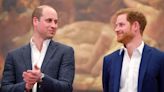Harry’s hopes for reunion dashed by William's friends as 'last thing he needs'