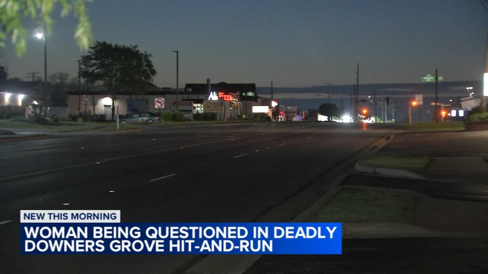 Police questioning elderly driver in Downers Grove hit-and-run that killed Robin Robinson