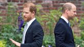 Prince Harry Straight-Up Calls Prince William His "Arch-Nemesis" in New Memoir