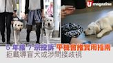 5年接7宗投訴 平機會推實用指南 拒載導盲犬或涉間接歧視