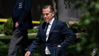 Hunter Biden Just Faced 'Devastating Take-Down' in Court—Attorney