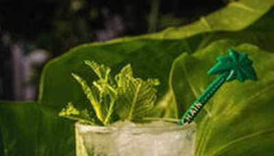 Los cinco mojitos más refrescantes de Miami