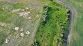 Canadian beef farmers say they're on track to meet 2030 greenhouse gas emissions goal