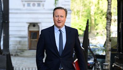 Watch as David Cameron testifies to Lords committee after urging Hamas to accept ceasefire deal