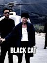 Black Cat (1991 film)